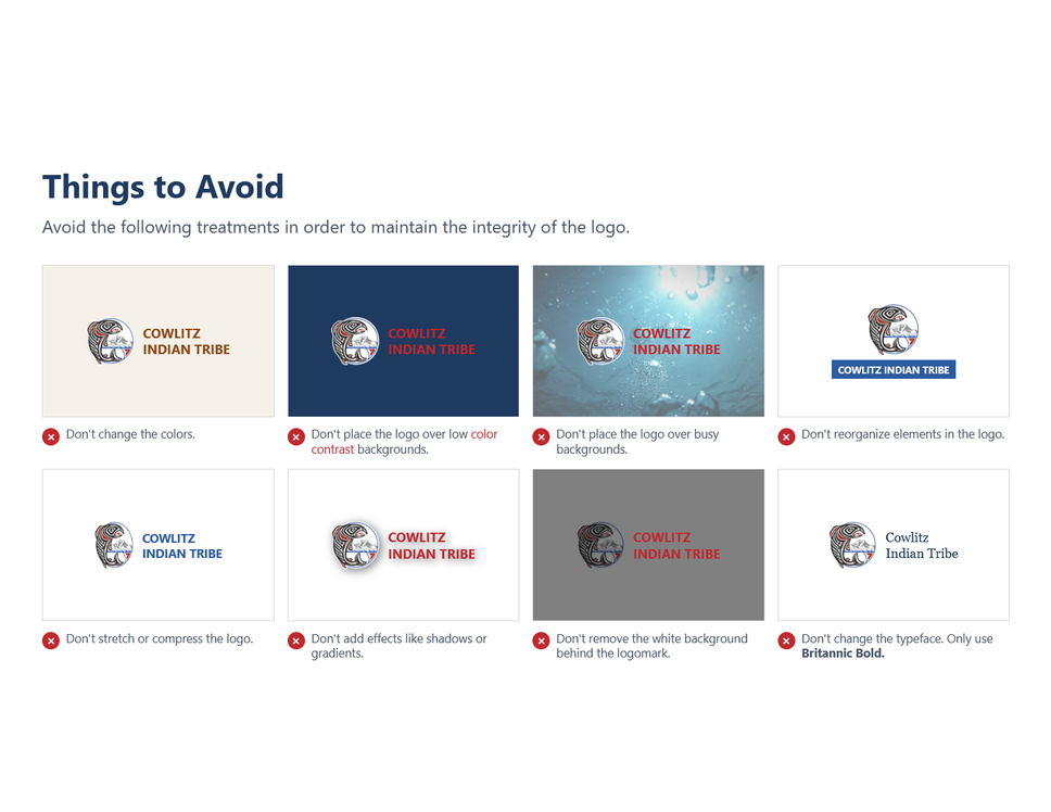 cit-brand-guide-updated